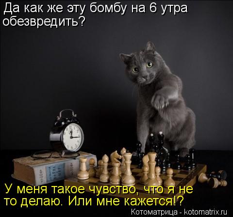Да как же эту бомбу на 6 утра обезвредить? У меня такое чувство, что я не то делаю. Или мне кажется!?... Котоматрица: Да как же эту бомбу на 6 утра обезвредить? У меня такое чувство, что я не то делаю. Или мне кажется!?