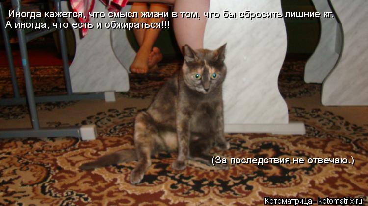 Иногда кажется, что смысл жизни в том, что бы сбросить лишние кг. А иногда, что есть и обжираться!!! ... Котоматрица: Иногда кажется, что смысл жизни в том, что бы сбросить лишние кг. А иногда, что есть и обжираться!!! (За последствия не отвечаю.)