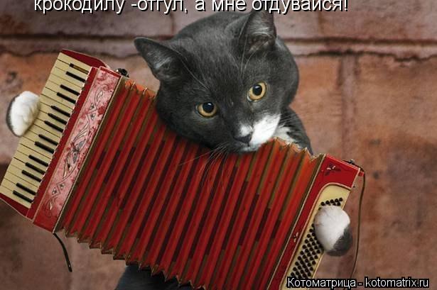крокодилу -отгул, а мне отдувайся!... Котоматрица: крокодилу -отгул, а мне отдувайся!
