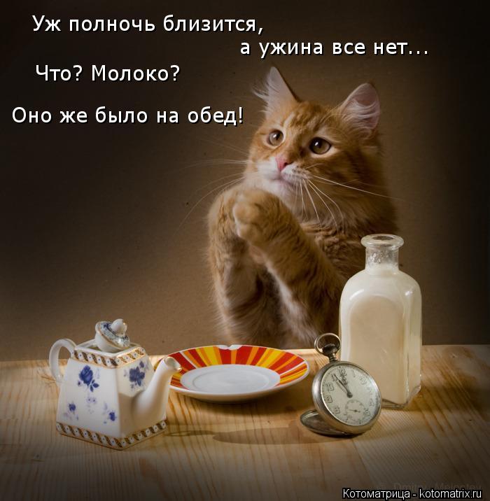 Уж полночь близится, а ужина все нет... Что? Молоко? Оно же было на обед!... Котоматрица: Уж полночь близится, а ужина все нет... Что? Молоко? Оно же было на обед!