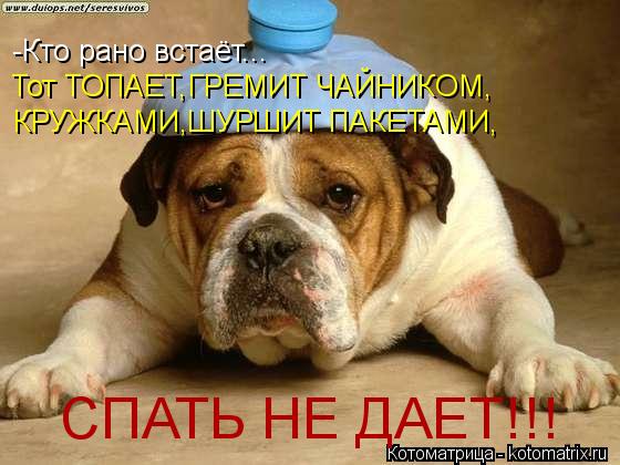 -Кто рано встаёт... Тот ТОПАЕТ,ГРЕМИТ ЧАЙНИКОМ, КРУЖКАМИ,ШУРШИТ ПАКЕТАМИ, СПАТЬ НЕ ДАЕТ!!!... Котоматрица: -Кто рано встаёт... Тот ТОПАЕТ,ГРЕМИТ ЧАЙНИКОМ, КРУЖКАМИ,ШУРШИТ ПАКЕТАМИ, СПАТЬ НЕ ДАЕТ!!!