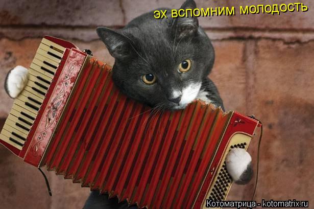 эх вспомним молодость... Котоматрица: эх вспомним молодость