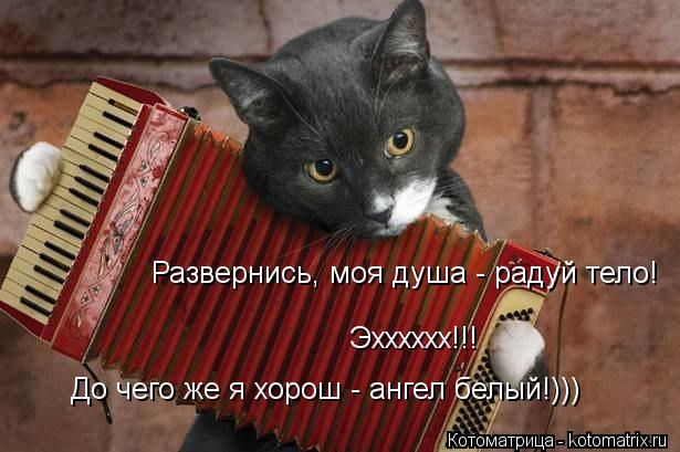 Развернись, моя душа - радуй тело! До чего же я хорош - ангел белый!))) Эхххххх!!!... Котоматрица: Развернись, моя душа - радуй тело! До чего же я хорош - ангел белый!))) Эхххххх!!!
