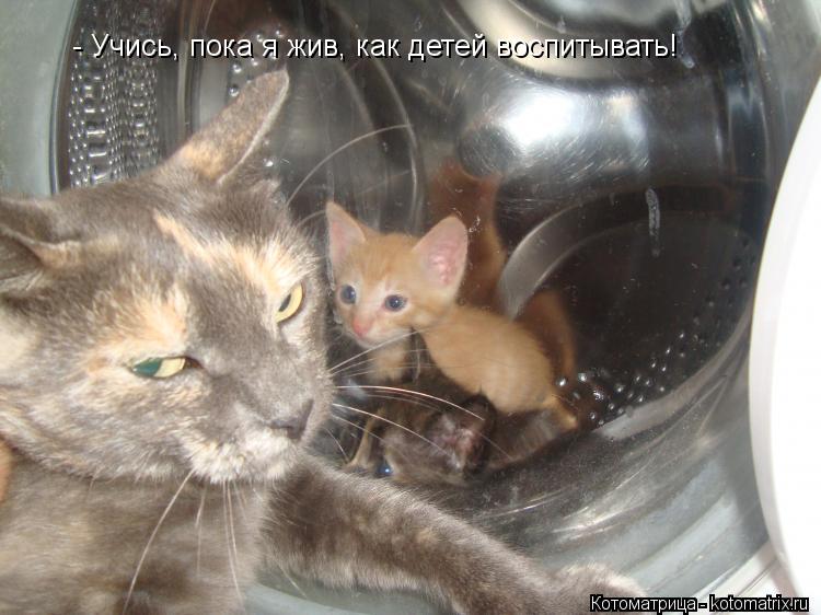 - Учись, пока я жив, как детей воспитывать!... Котоматрица: - Учись, пока я жив, как детей воспитывать!