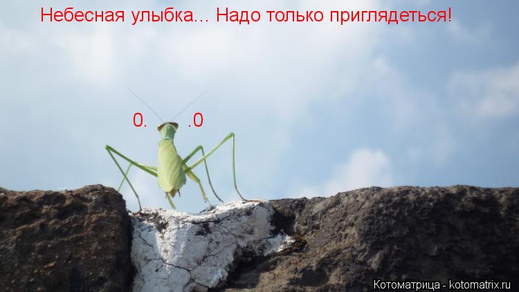 Небесная улыбка... Надо только приглядеться! 0. .0... Котоматрица: Небесная улыбка... Надо только приглядеться! 0. .0