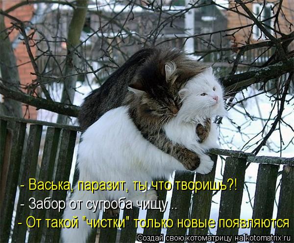 - От такой "чистки" только новые появляются !!! - Васька, паразит, ты что творишь?! - Забор от сугроб... Котоматрица: - От такой "чистки" только новые появляются !!! - Васька, паразит, ты что творишь?! - Забор от сугроба чищу...