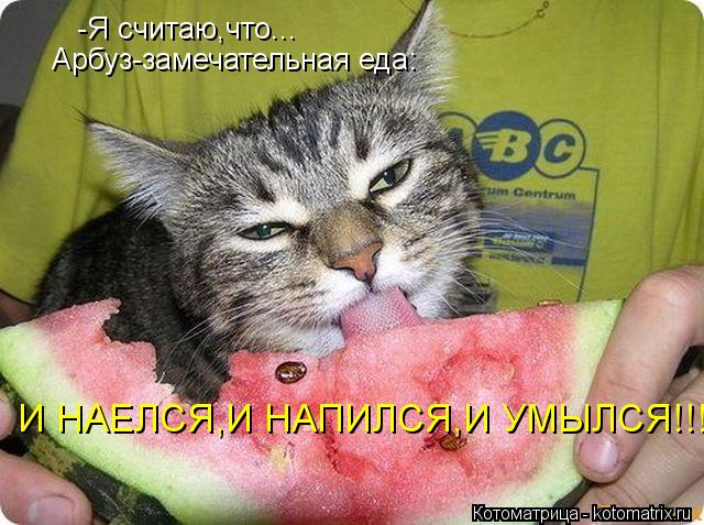-Я считаю,что... Арбуз-замечательная еда: И НАЕЛСЯ,И НАПИЛСЯ,И УМЫЛСЯ!!!... Котоматрица: -Я считаю,что... Арбуз-замечательная еда: И НАЕЛСЯ,И НАПИЛСЯ,И УМЫЛСЯ!!!