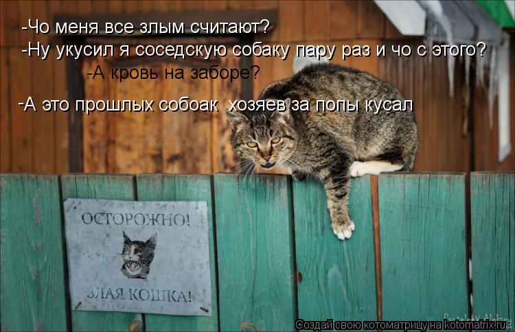 -Чо меня все злым считают? -Ну укусил я соседскую собаку пару раз и чо с этого? -А кровь на заборе? А... Котоматрица: -Чо меня все злым считают? -Ну укусил я соседскую собаку пару раз и чо с этого? -А кровь на заборе? А это прошлых собоак хозяев за попы кусал -