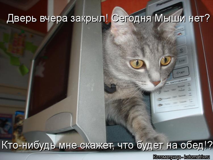 Дверь вчера закрыл! Сегодня Мыши нет? Кто-нибудь мне скажет, что будет на обед!?... Котоматрица: Дверь вчера закрыл! Сегодня Мыши нет? Кто-нибудь мне скажет, что будет на обед!?