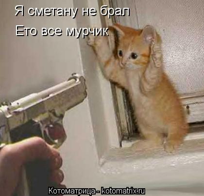 Я сметану не брал Ето все мурчик... Котоматрица: Я сметану не брал Ето все мурчик