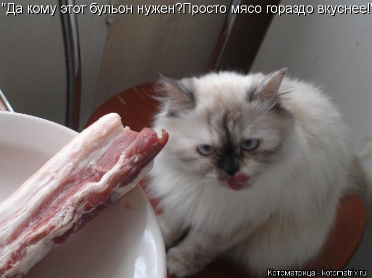 "Да кому этот бульон нужен?Просто мясо гораздо вкуснее!"... Котоматрица: "Да кому этот бульон нужен?Просто мясо гораздо вкуснее!"