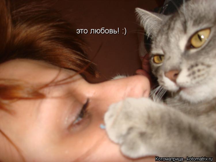 это любовь! :)... Котоматрица: это любовь! :)
