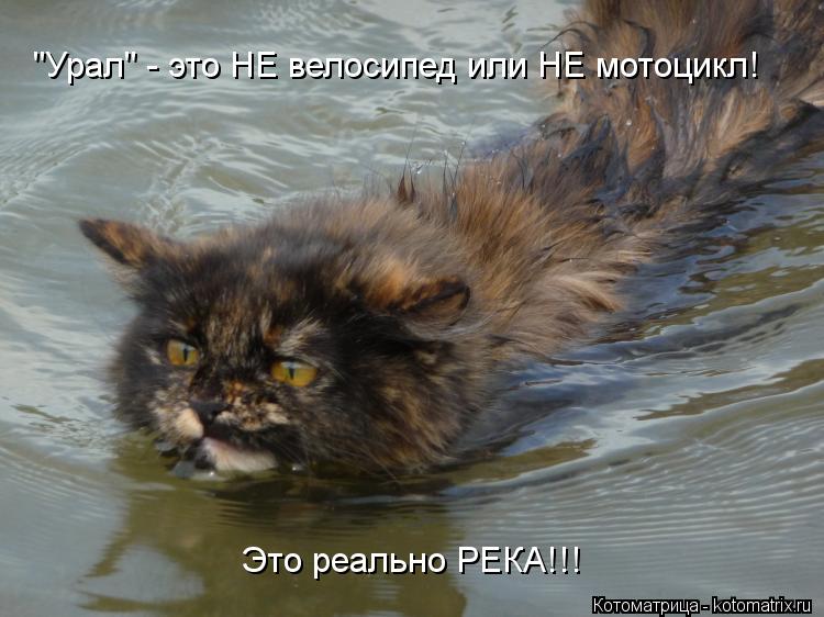 Это реально РЕКА!!! "Урал" - это НЕ велосипед или НЕ мотоцикл!... Котоматрица: Это реально РЕКА!!! "Урал" - это НЕ велосипед или НЕ мотоцикл!