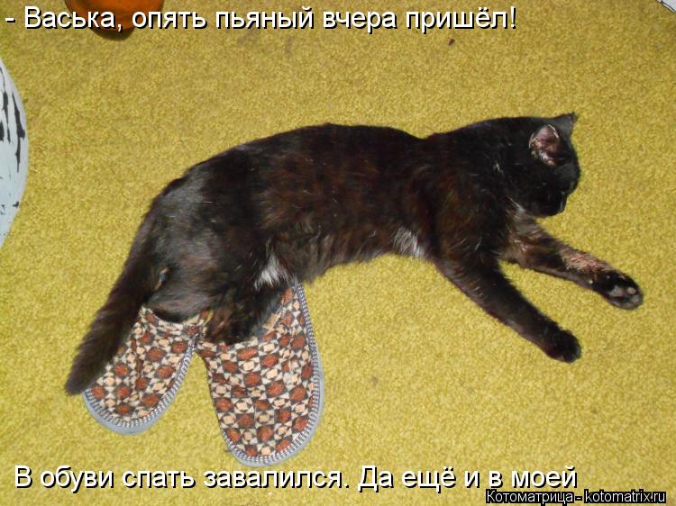 - Васька, опять пьяный вчера пришёл! В обуви спать завалился. Да ещё и в моей... Котоматрица: - Васька, опять пьяный вчера пришёл! В обуви спать завалился. Да ещё и в моей