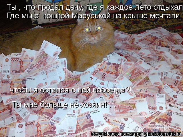 Ты , что продал дачу, где я каждое лето отдыхал, Где мы с кошкой Маруськой на крыше мечтали, чтобы ... Котоматрица: Ты , что продал дачу, где я каждое лето отдыхал, Где мы с кошкой Маруськой на крыше мечтали, чтобы я остался с ней навсегда?! Ты мне больше не
