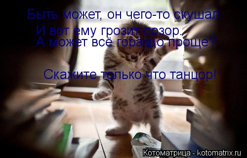 Быть может, он чего-то скушал И вот ему грозит позор… А может всё гораздо проще? Скажите толь... Котоматрица: Быть может, он чего-то скушал И вот ему грозит позор… А может всё гораздо проще? Скажите только что танцор!