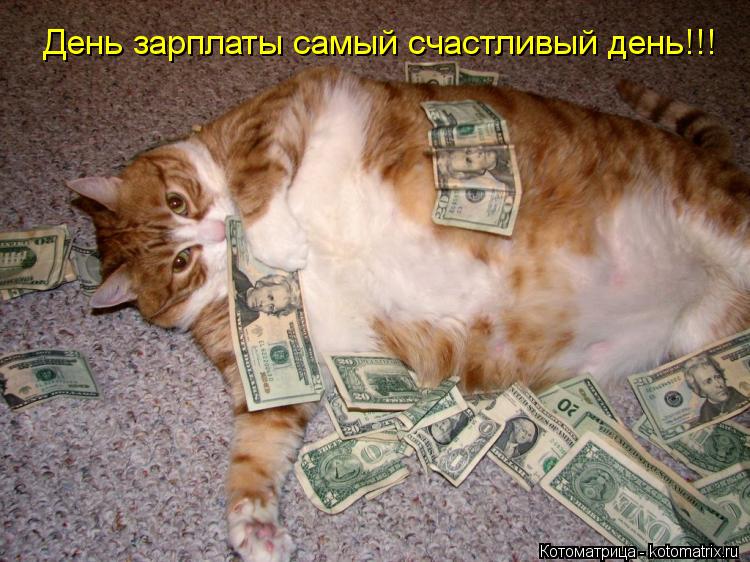 День зарплаты самый счастливый день!!!... Котоматрица: День зарплаты самый счастливый день!!!
