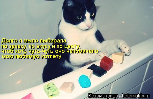 Долго я мыло выбирала по запаху, по вкусу и по цвету, чтоб хоть чуть-чуть оно напоминало мою любимую ... Котоматрица: Долго я мыло выбирала по запаху, по вкусу и по цвету, чтоб хоть чуть-чуть оно напоминало мою любимую котлету