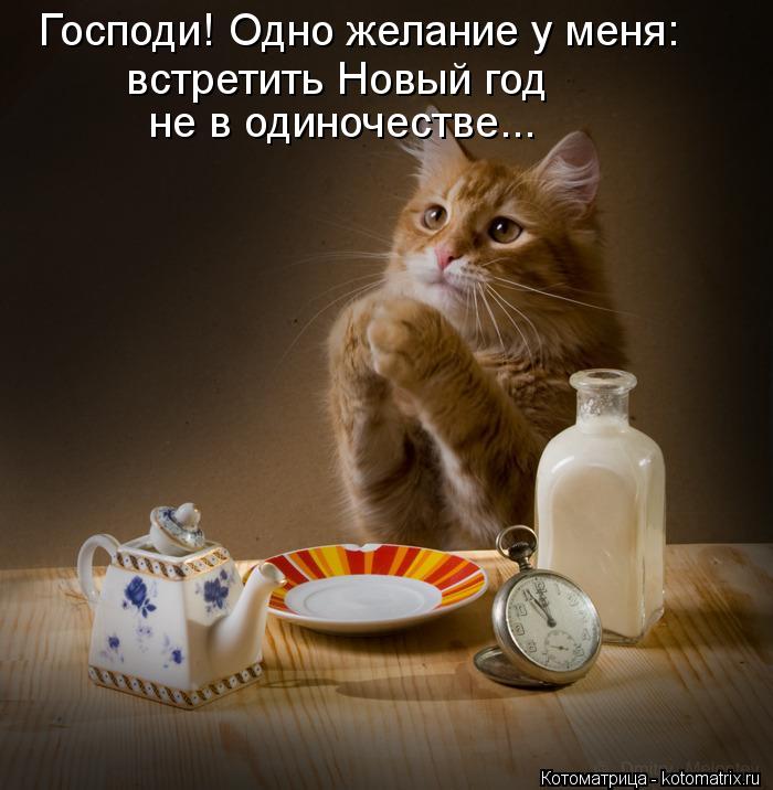 Господи! Одно желание у меня: встретить Новый год не в одиночестве...... Котоматрица: Господи! Одно желание у меня: встретить Новый год не в одиночестве...
