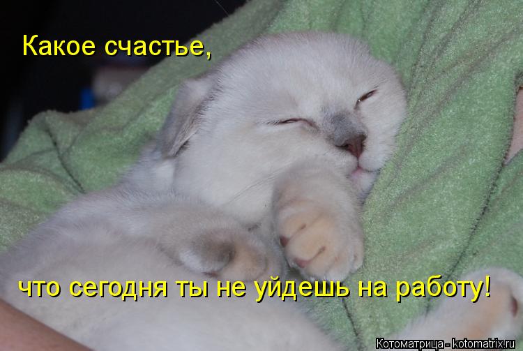 Картинки я буду очень скучать по тебе 86