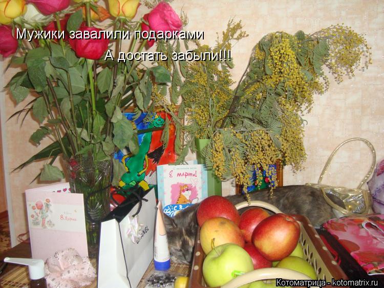 Мужики завалили подарками А достать забыли!!!... Котоматрица: Мужики завалили подарками А достать забыли!!!