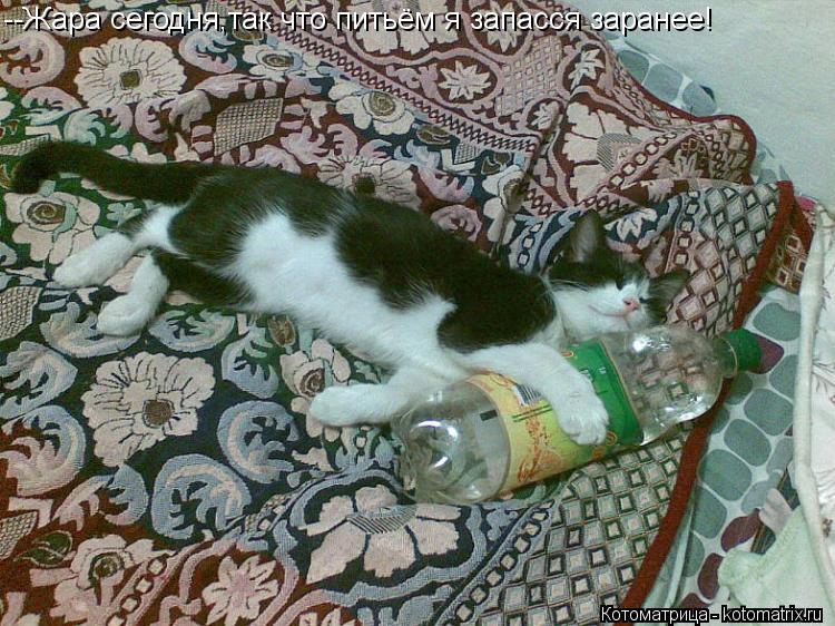 --Жара сегодня,так что питьём я запасся заранее!... Котоматрица: --Жара сегодня,так что питьём я запасся заранее!