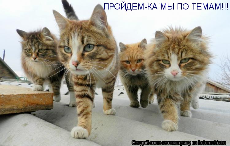 ПРОЙДЕМ-КА МЫ ПО ТЕМАМ!!!... Котоматрица: ПРОЙДЕМ-КА МЫ ПО ТЕМАМ!!!