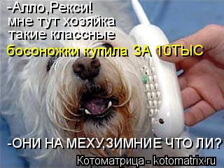 -Алло,Рекси! мне тут хозяйка такие классные босоножки купила ЗА 10ТЫС -ОНИ НА МЕХУ,ЗИМНИЕ ЧТО ЛИ?... Котоматрица: -Алло,Рекси! мне тут хозяйка такие классные босоножки купила ЗА 10ТЫС -ОНИ НА МЕХУ,ЗИМНИЕ ЧТО ЛИ?