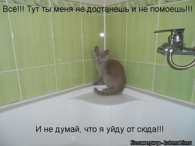 Всё!!! Тут ты меня не достанешь и не помоешь!!! И не думай, что я уйду от сюда!!!... Котоматрица: Всё!!! Тут ты меня не достанешь и не помоешь!!! И не думай, что я уйду от сюда!!!