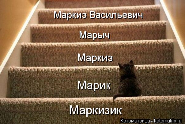 Маркизик Марик Маркиз Марыч Маркиз Васильевич... Котоматрица: Маркизик Марик Маркиз Марыч Маркиз Васильевич