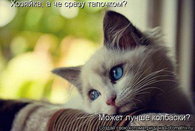 Хозяйка, а че сразу тапочком? Может лучше колбаски?... Котоматрица: Хозяйка, а че сразу тапочком? Может лучше колбаски?