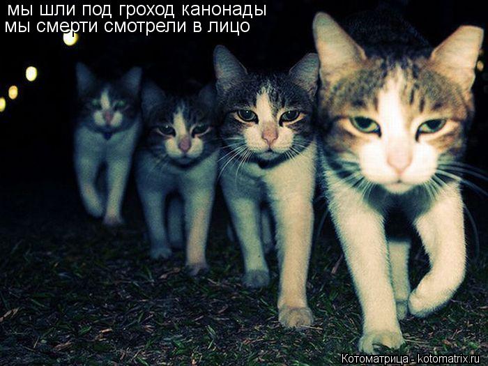 мы шли под гроход канонады мы смерти смотрели в лицо... Котоматрица: мы шли под гроход канонады мы смерти смотрели в лицо