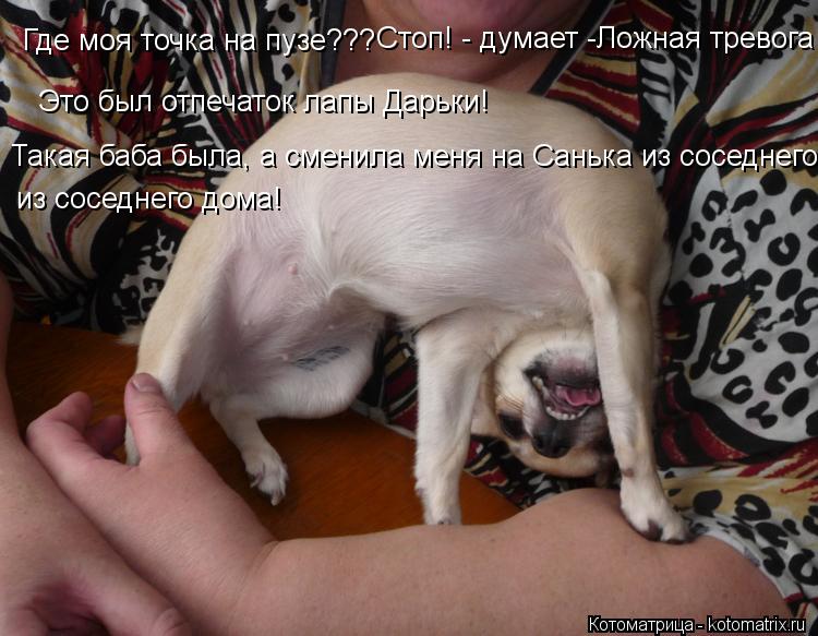Где моя точка на пузе??? Стоп! - думает -Ложная тревога Это был отпечаток лапы Дарьки! Такая баба был... Котоматрица: Где моя точка на пузе??? Стоп! - думает -Ложная тревога Это был отпечаток лапы Дарьки! Такая баба была, а сменила меня на Санька из соседнего до