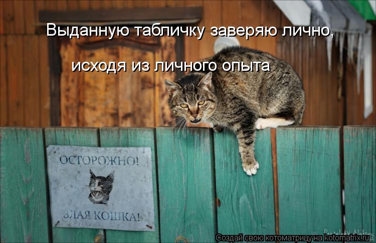 Выданную табличку заверяю лично, исходя из личного опыта... Котоматрица: Выданную табличку заверяю лично, исходя из личного опыта