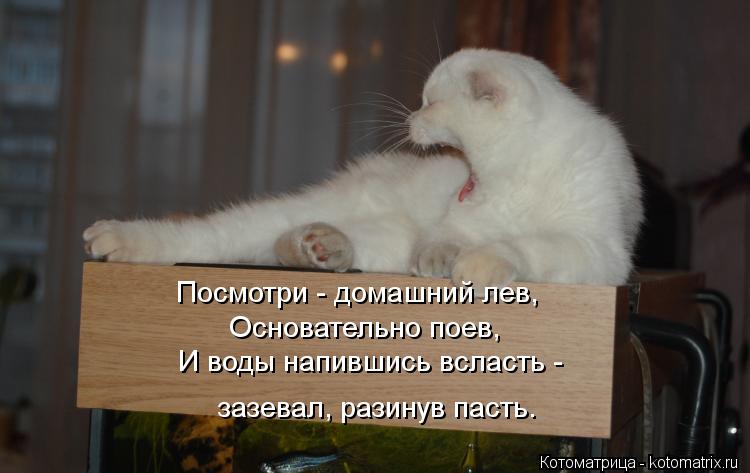 И воды напившись всласть - зазевал, разинув пасть. Посмотри - домашний лев, Основательно поев,... Котоматрица: И воды напившись всласть - зазевал, разинув пасть. Посмотри - домашний лев, Основательно поев,