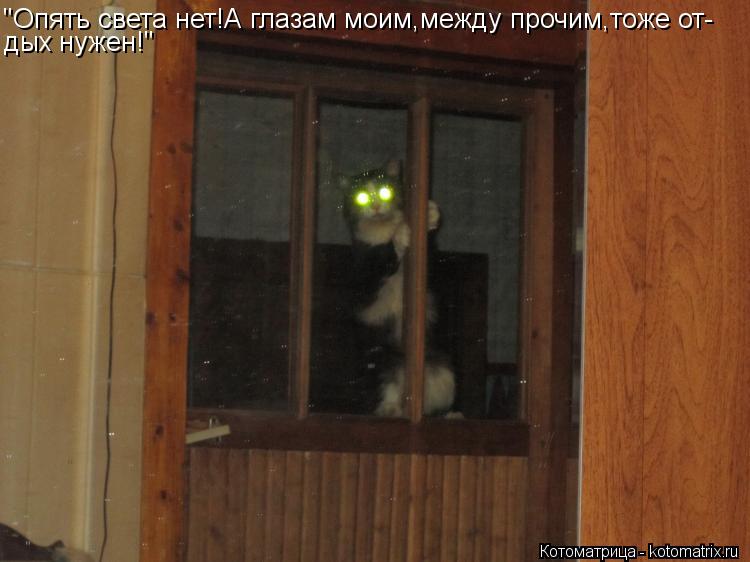 "Опять света нет!А глазам моим,между прочим,тоже от- дых нужен!"... Котоматрица: "Опять света нет!А глазам моим,между прочим,тоже от- дых нужен!"