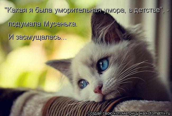 Котоматрица: "Какая я была уморительная умора, в детстве", - подумала Мусенька. И засмущалась...