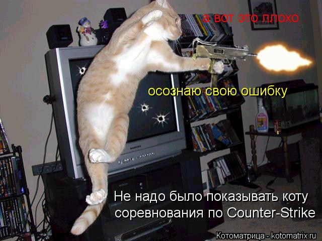 соревнования по Counter-Strike Не надо было показывать коту а вот это плохо осознаю свою ошибку... Котоматрица: соревнования по Counter-Strike Не надо было показывать коту а вот это плохо осознаю свою ошибку