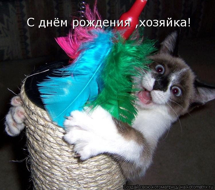 С днём рождения ,хозяйка!... Котоматрица: С днём рождения ,хозяйка!