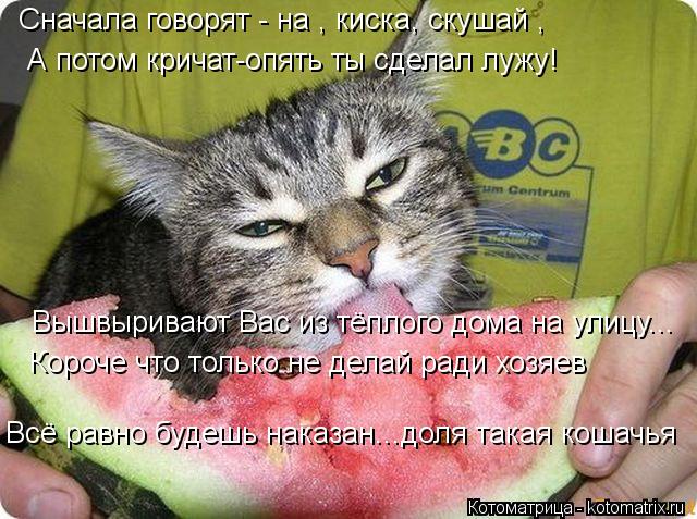 Сначала говорят - на , киска, скушай , А потом кричат-опять ты сделал лужу! Вышвыривают Вас из тёплог... Котоматрица: Сначала говорят - на , киска, скушай , А потом кричат-опять ты сделал лужу! Вышвыривают Вас из тёплого дома на улицу... Короче что только не дел