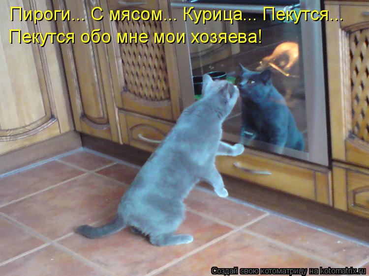 Котоматрица: Пироги... С мясом... Курица... Пекутся... Пекутся обо мне мои хозяева!