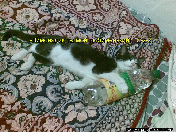 -Лимонадик ты мой любименький!...Z-z-z...... Котоматрица: -Лимонадик ты мой любименький!...Z-z-z...