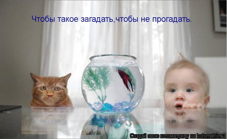 Чтобы такое загадать,чтобы не прогадать.... Котоматрица: Чтобы такое загадать,чтобы не прогадать.