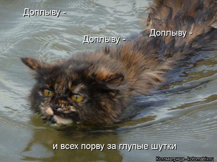 Доплыву - Доплыву - Доплыву - всех порву за глупые шутки и всех порву за глупые шутки... Котоматрица: Доплыву - Доплыву - Доплыву - всех порву за глупые шутки и всех порву за глупые шутки