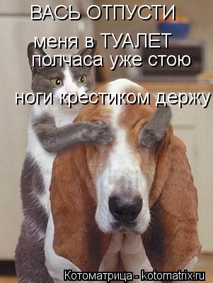 Котоматрица: ВАСЬ ОТПУСТИ  меня в ТУАЛЕТ  полчаса уже стою   ноги крестиком держу