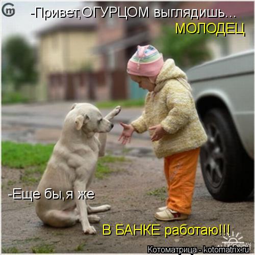 -Привет,ОГУРЦОМ выглядишь... МОЛОДЕЦ -Еще бы,я же В БАНКЕ работаю!!!... Котоматрица: -Привет,ОГУРЦОМ выглядишь... МОЛОДЕЦ -Еще бы,я же В БАНКЕ работаю!!!