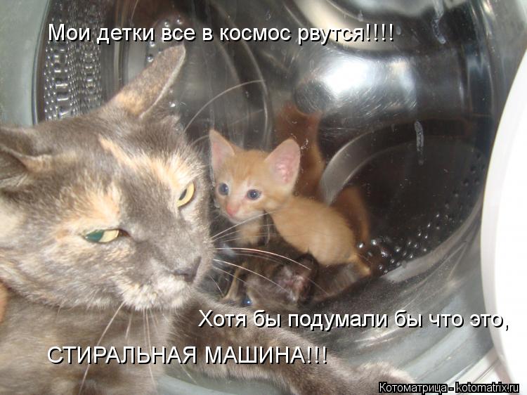 Мои детки все в космос рвутся!!!! Хотя бы подумали бы что это, СТИРАЛЬНАЯ МАШИНА!!!... Котоматрица: Мои детки все в космос рвутся!!!! Хотя бы подумали бы что это, СТИРАЛЬНАЯ МАШИНА!!!