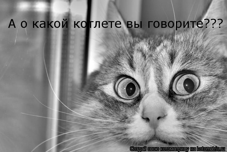 А о какой котлете вы говорите???... Котоматрица: А о какой котлете вы говорите???