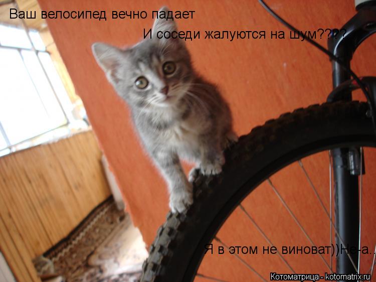 Ваш велосипед вечно падает И соседи жалуются на шум???? Я в этом не виноват))Не-а...... Котоматрица: Ваш велосипед вечно падает И соседи жалуются на шум???? Я в этом не виноват))Не-а...