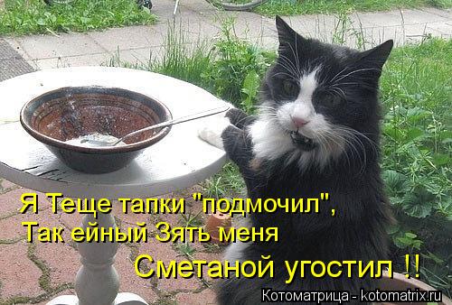 Я Теще тапки "подмочил", Так ейный Зять меня Сметаной угостил !!... Котоматрица: Я Теще тапки "подмочил", Так ейный Зять меня Сметаной угостил !!